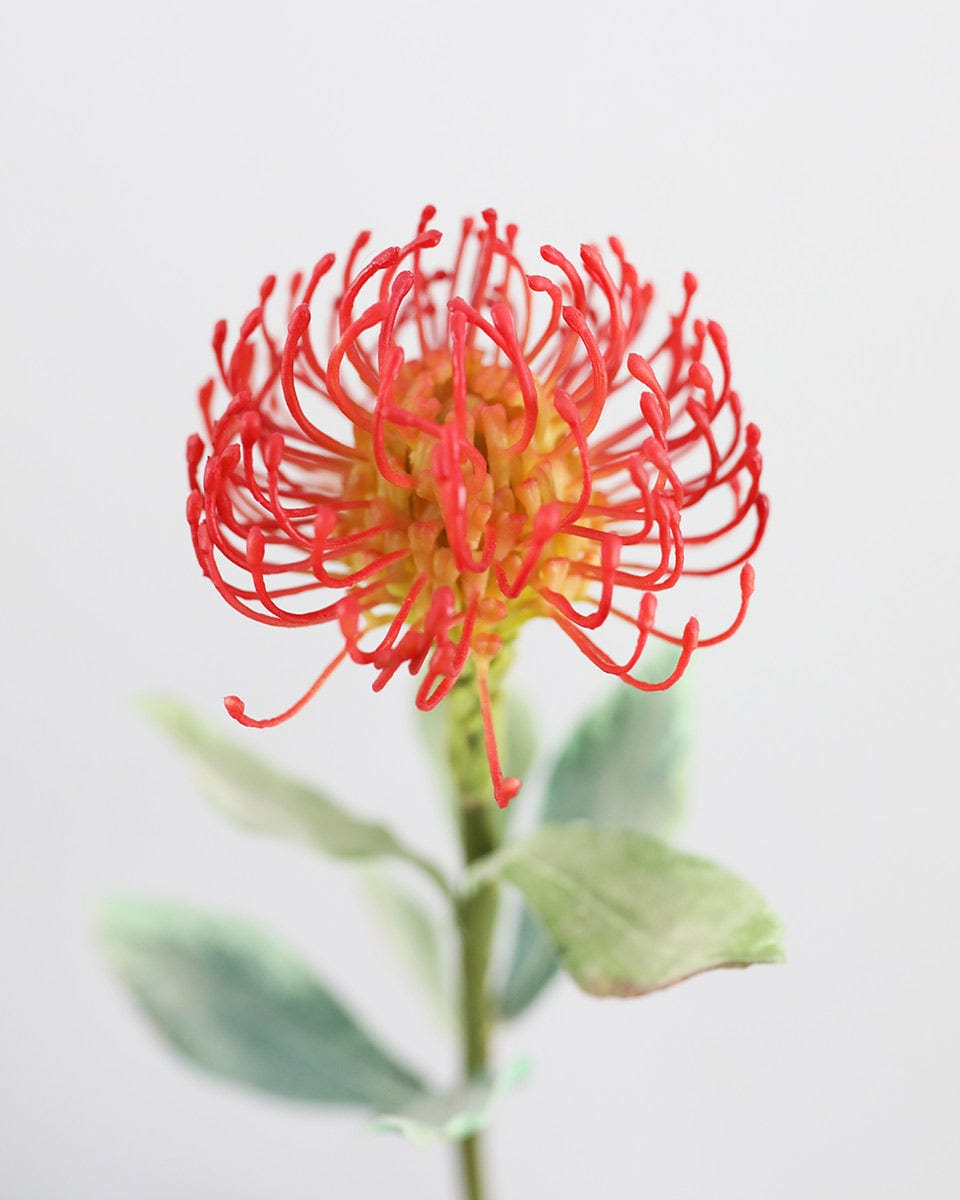 Close Up Details of Red Orange Faux Protea Bloom