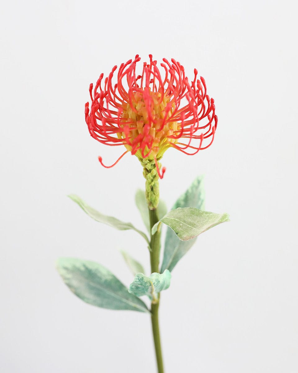 Fake Flowers Red Orange Tropical Protea