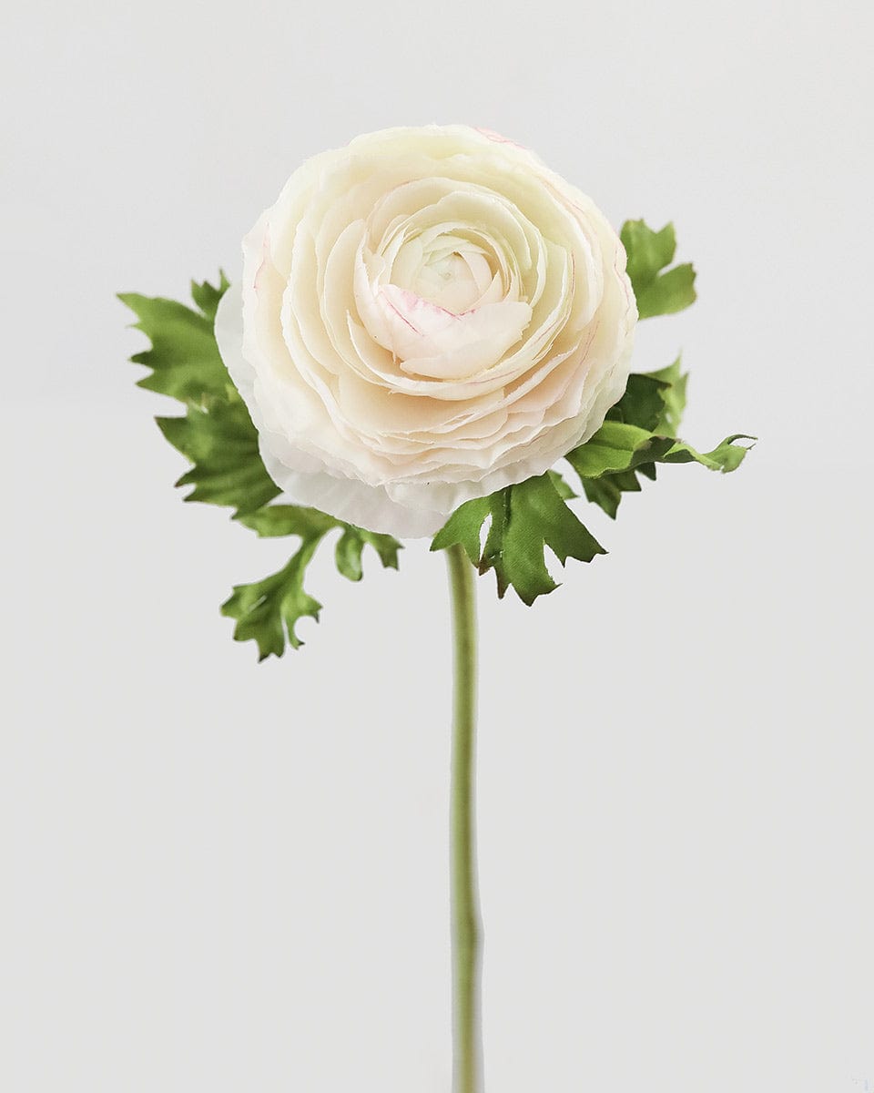 Artificial Cream Ranunculus 21”