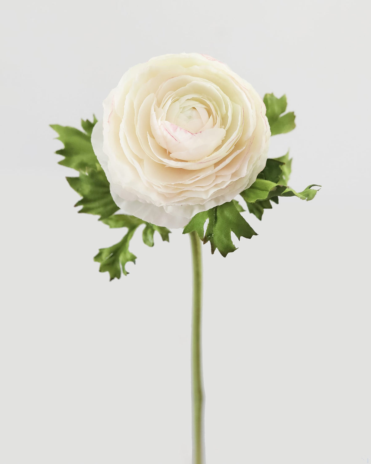 Cream Faux Ranunculus close up 