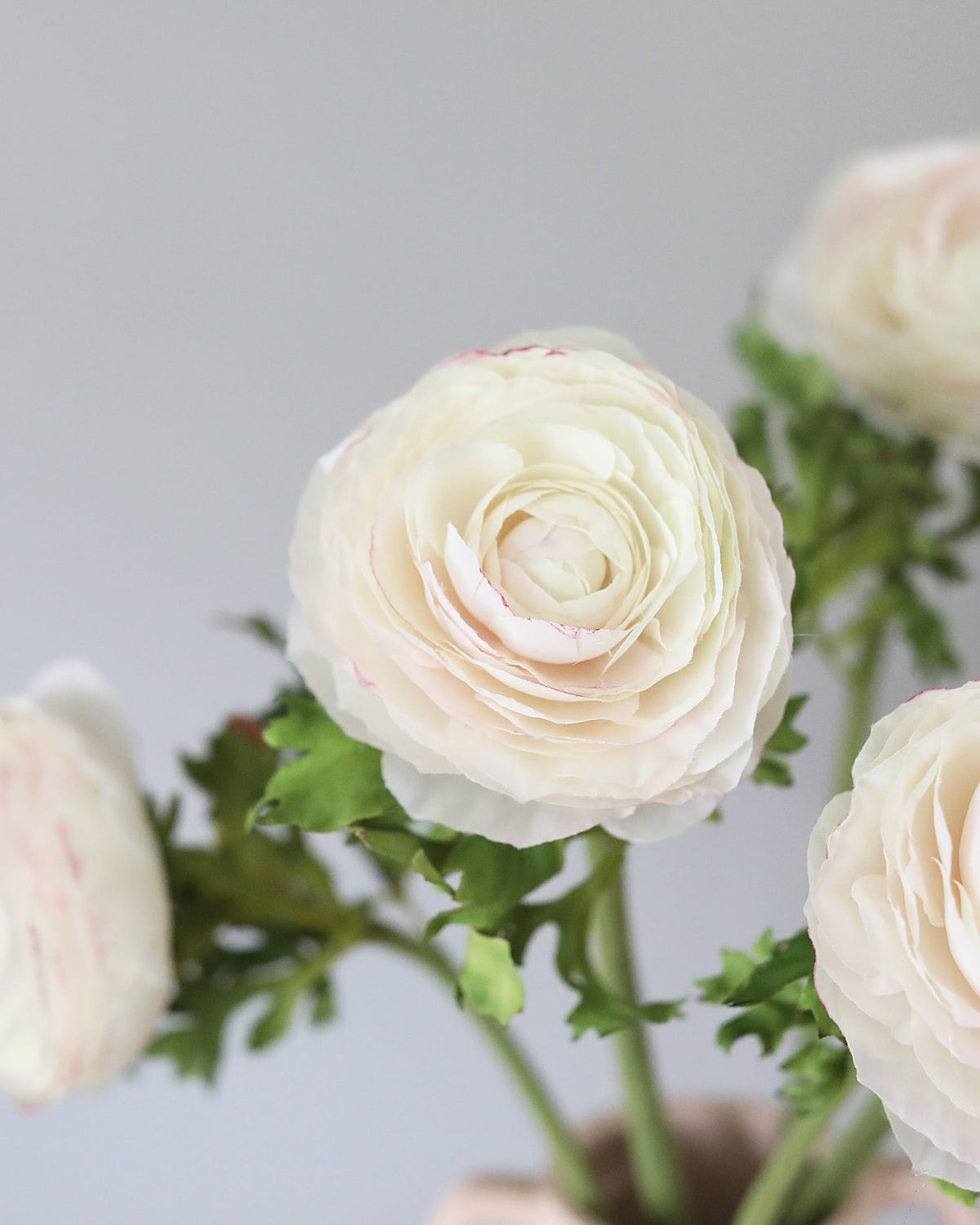 Cream Faux Ranunculus close up 