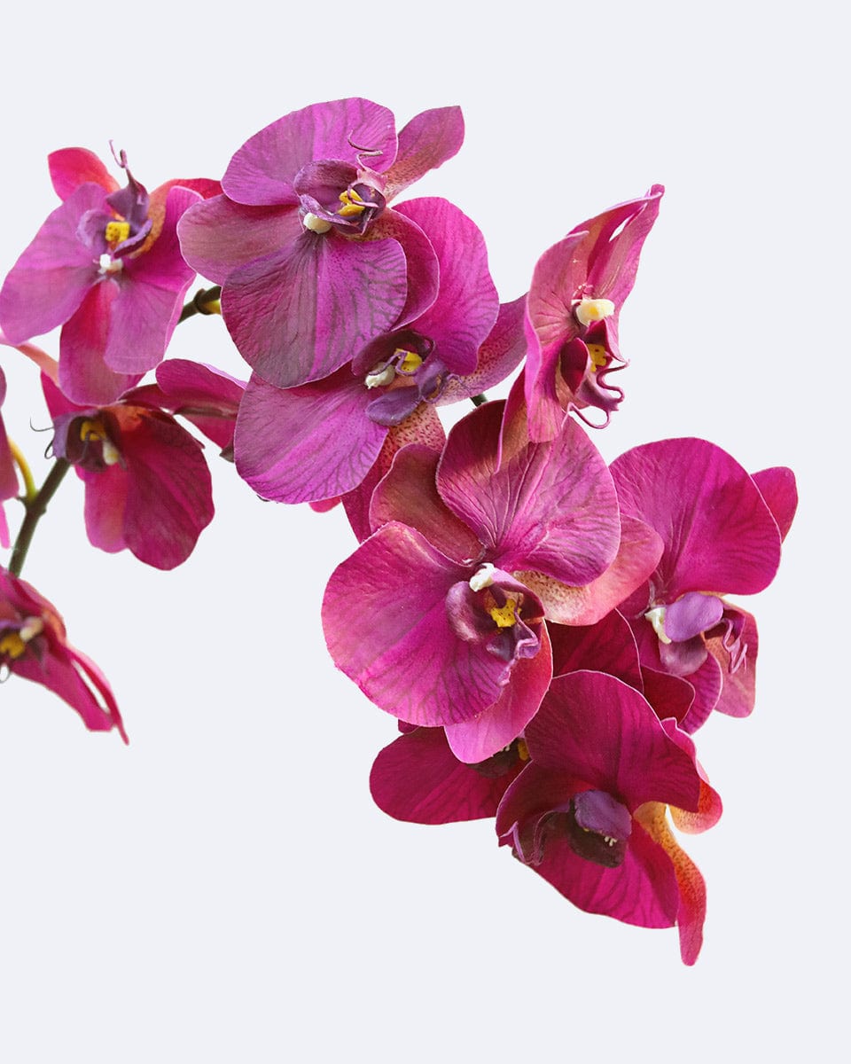 Deep Magenta Artificial Large Orchid Flower