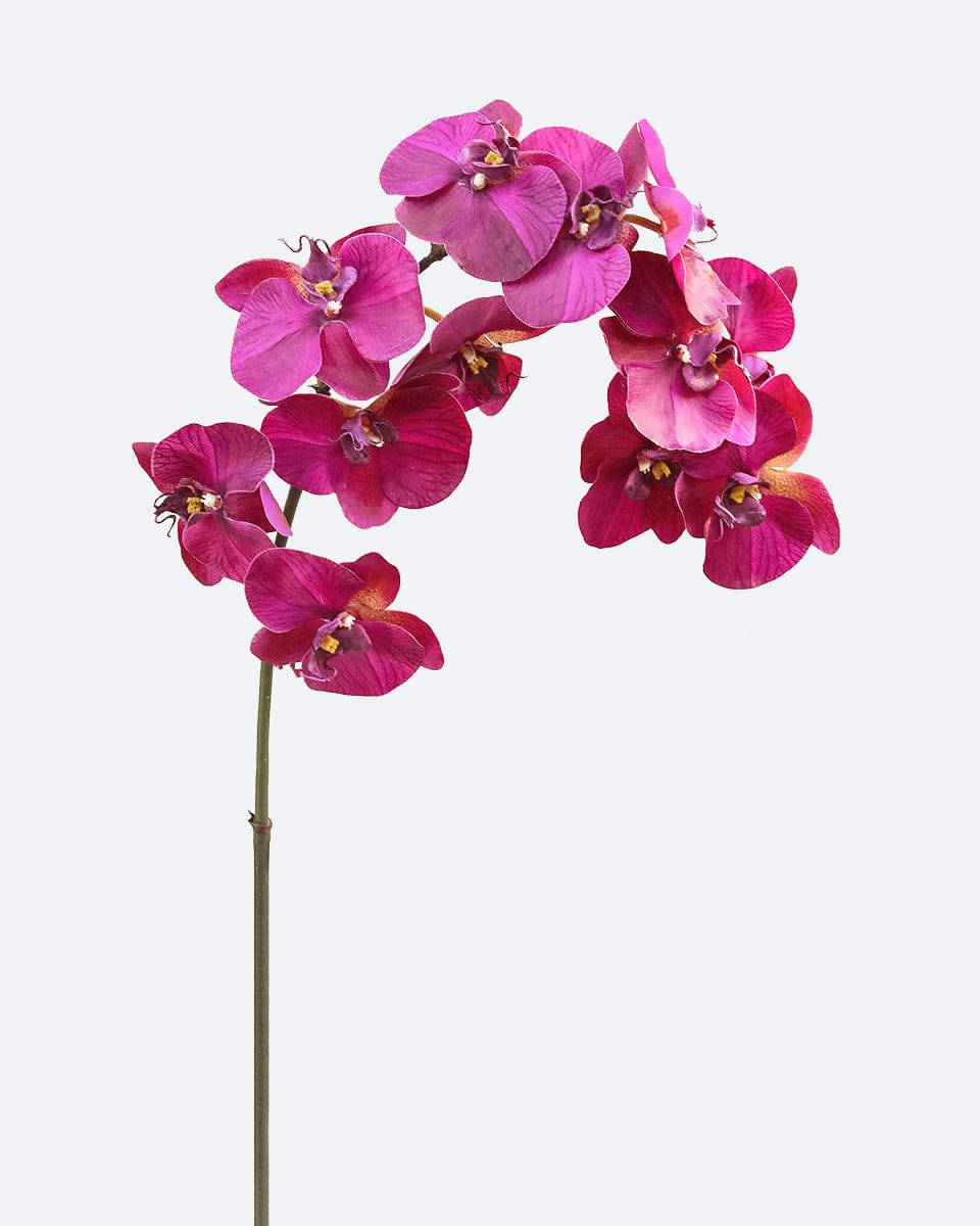 Prestige Botanicals Artificial Cerise Orchid Stem