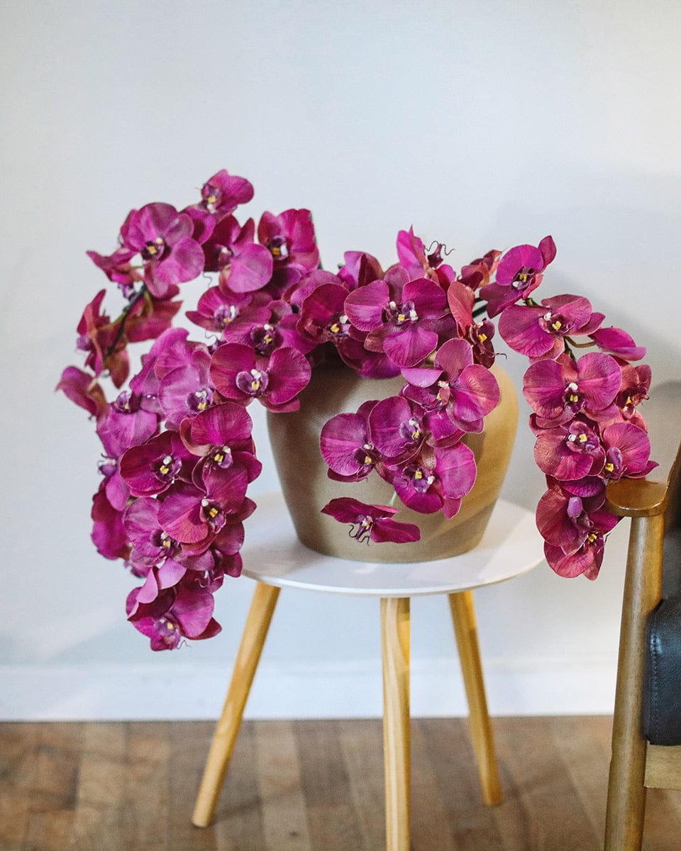 Prestige Botanicals Artificial Magenta Orchid Stems Styled in Ceramic Vase