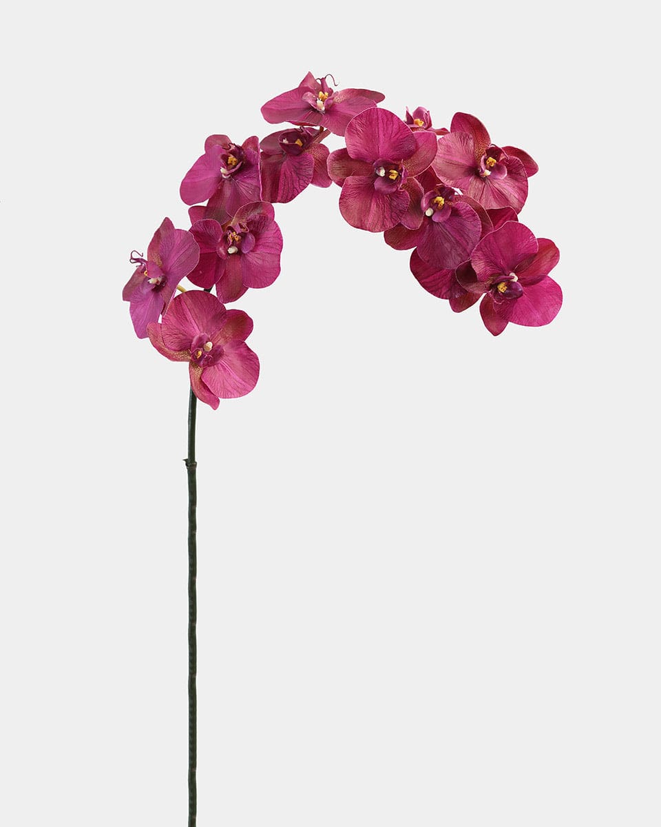 Prestige Botanicals Artificial Cerise Orchid Stem