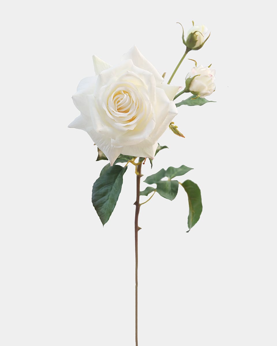 Prestige Botanicals pb-stem pb-stem Artificial Real Touch White Rose pb-stem