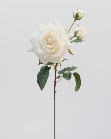 Premium Artificial Prestige White Rose 22