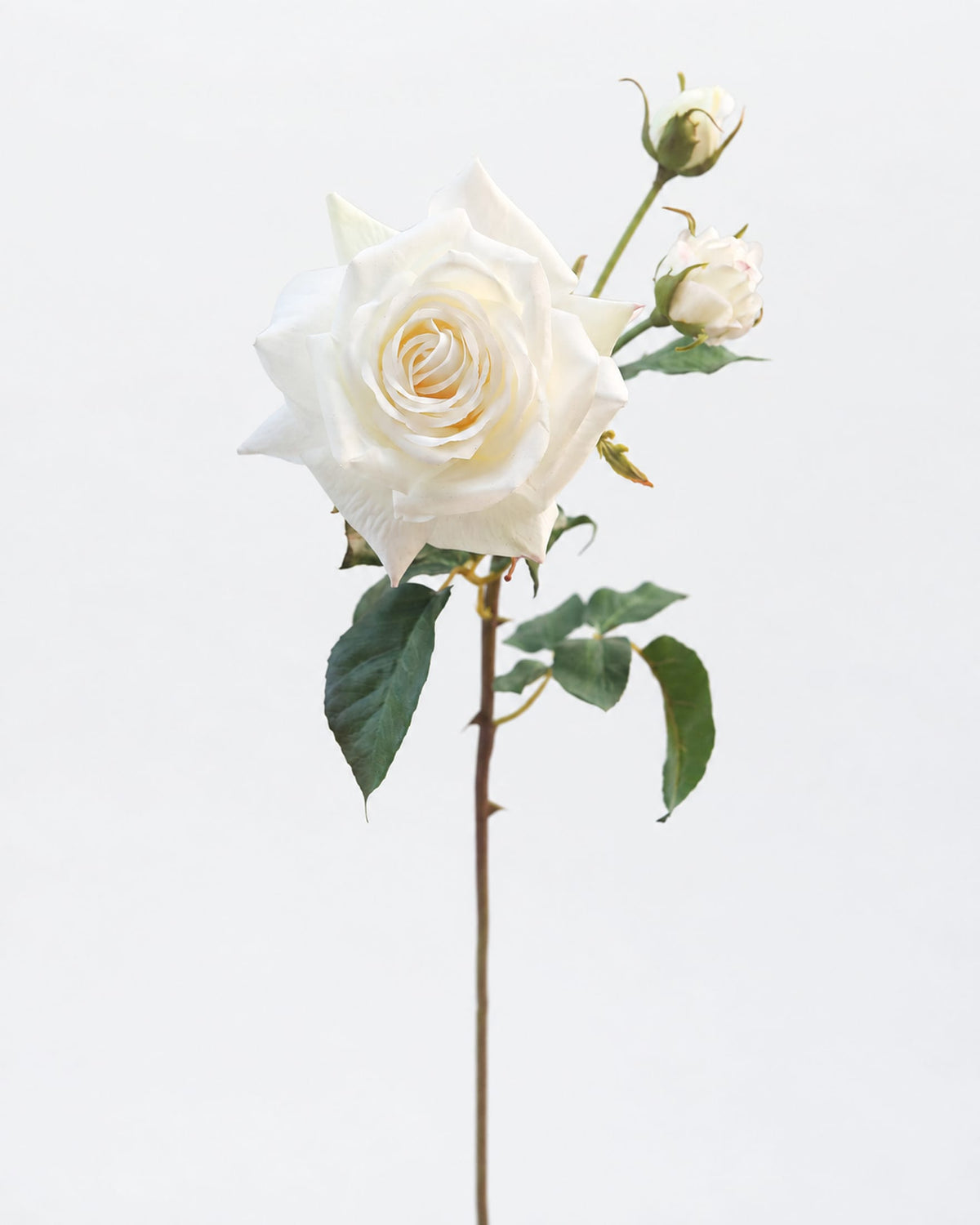 White Open Real Touch Faux Rose