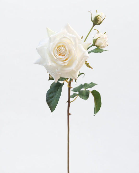 White Open Real Touch Faux Rose