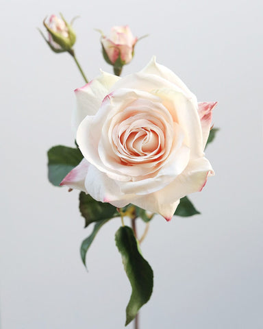 Real Touch Prestige Pink Rose 22