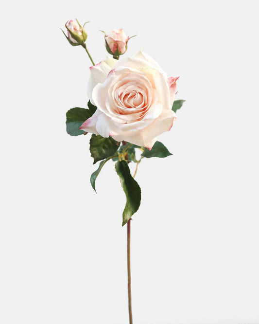 Soft Pink Real Touch Open Rose