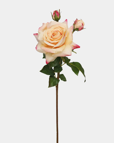 Real Touch Prestige Peach Rose | Real Touch Roses | Peach Flowers