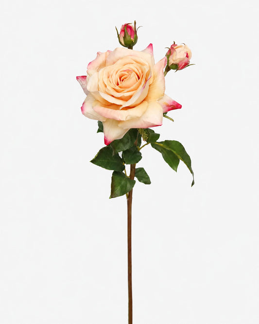 Faux Real Touch Prestige Coral Rose