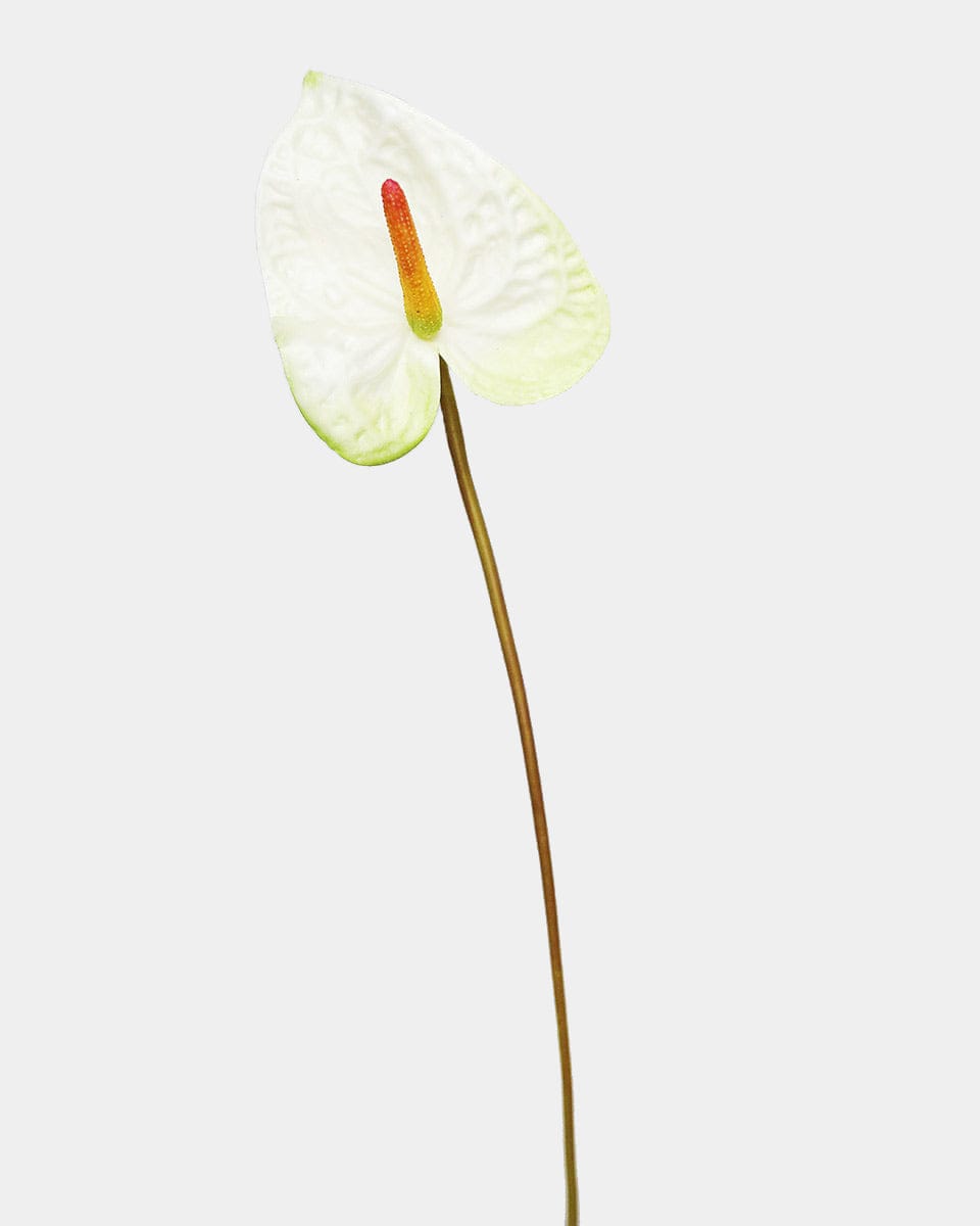 Faux Tropical Anthurium Flower