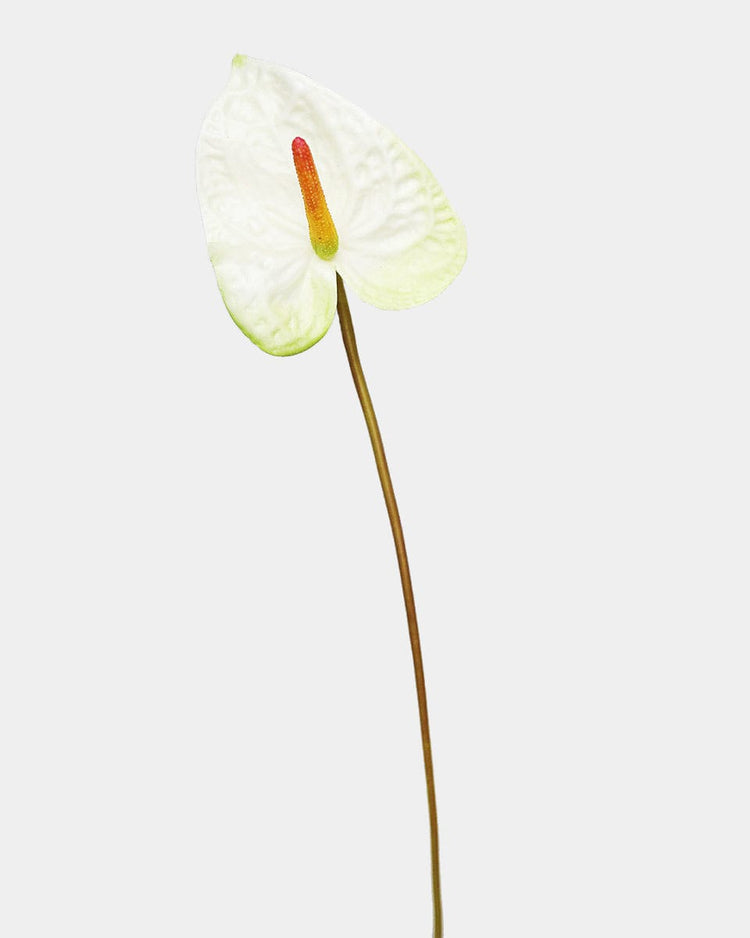 artificial anthurium andraeanum Painters Palette Anthurium | Artificial Anthurium