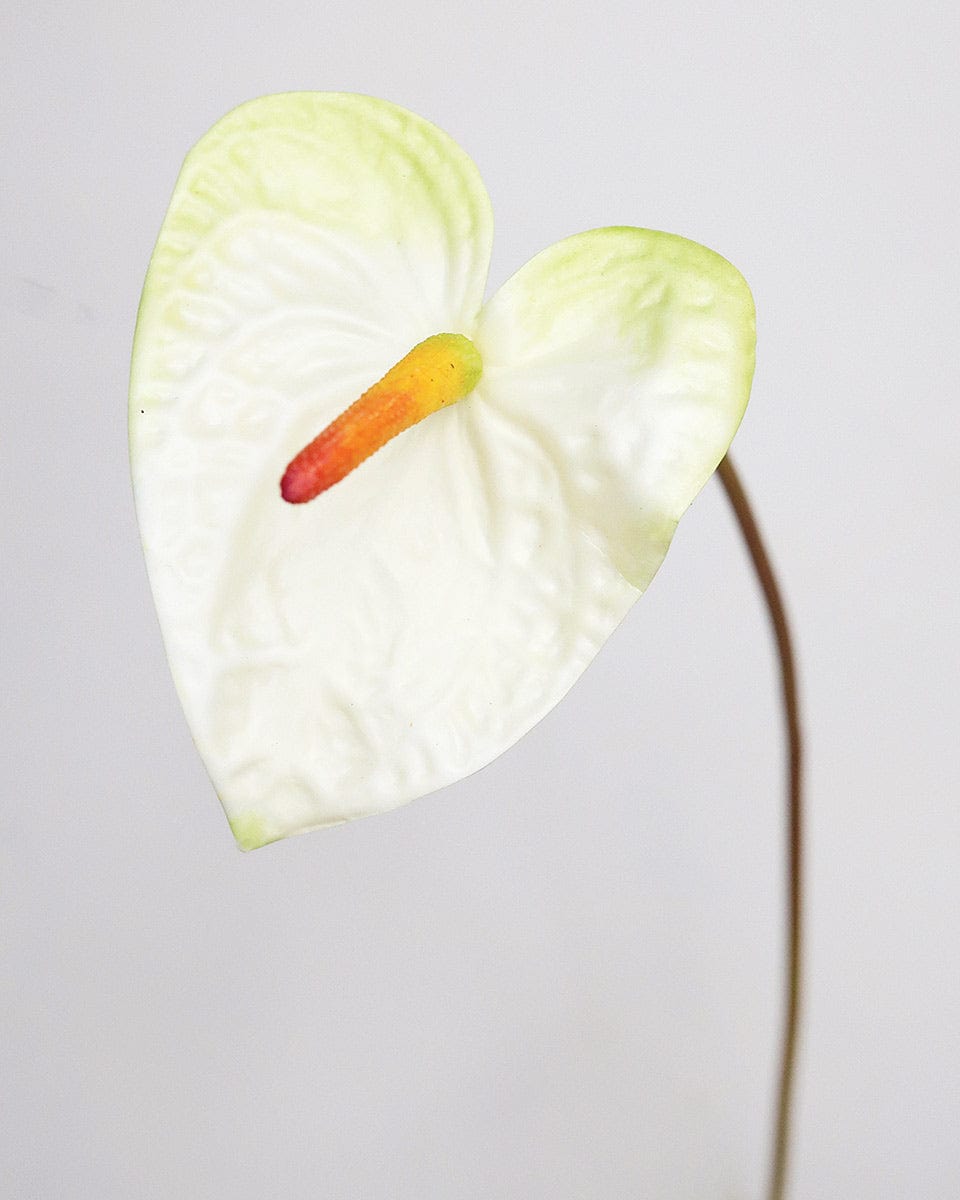 Artificial Anthurium in Cream