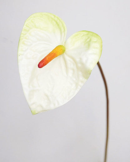 Artificial Anthurium in Cream