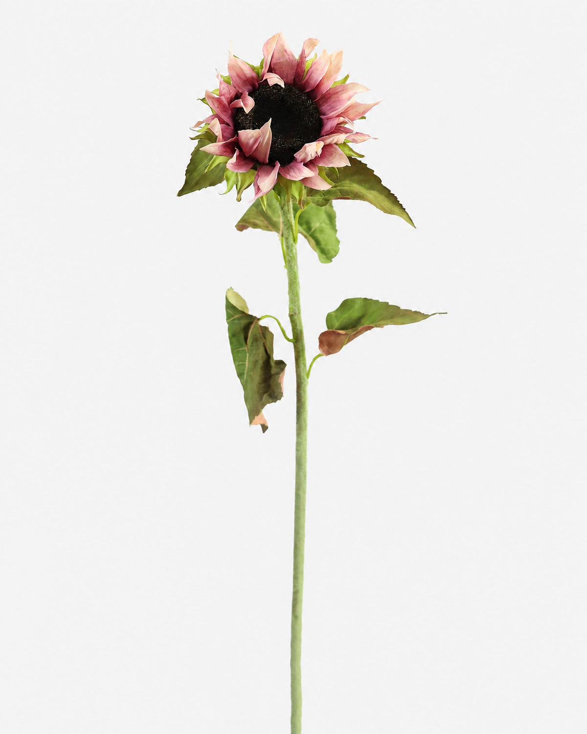 Faux Purple Sunflower