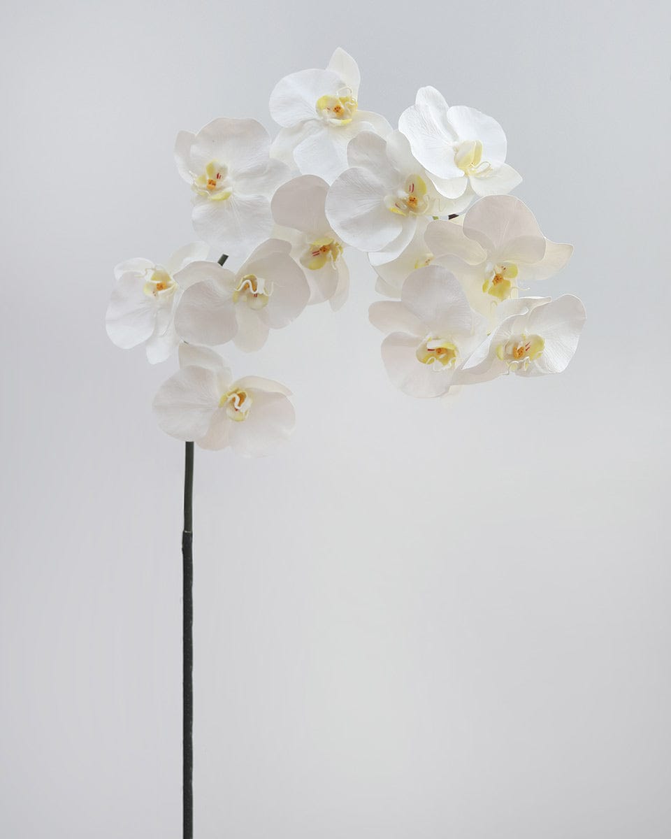 Prestige Botanicals Artificial Long White Phalaenopsis Orchid Stem