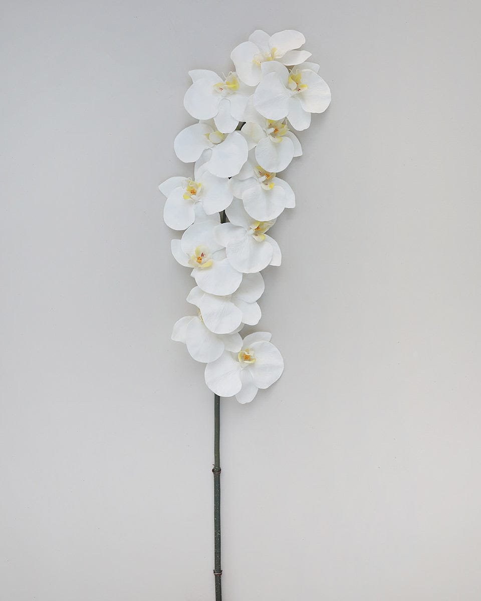 White Fake Phalaenopsis Orchid Large Flower
