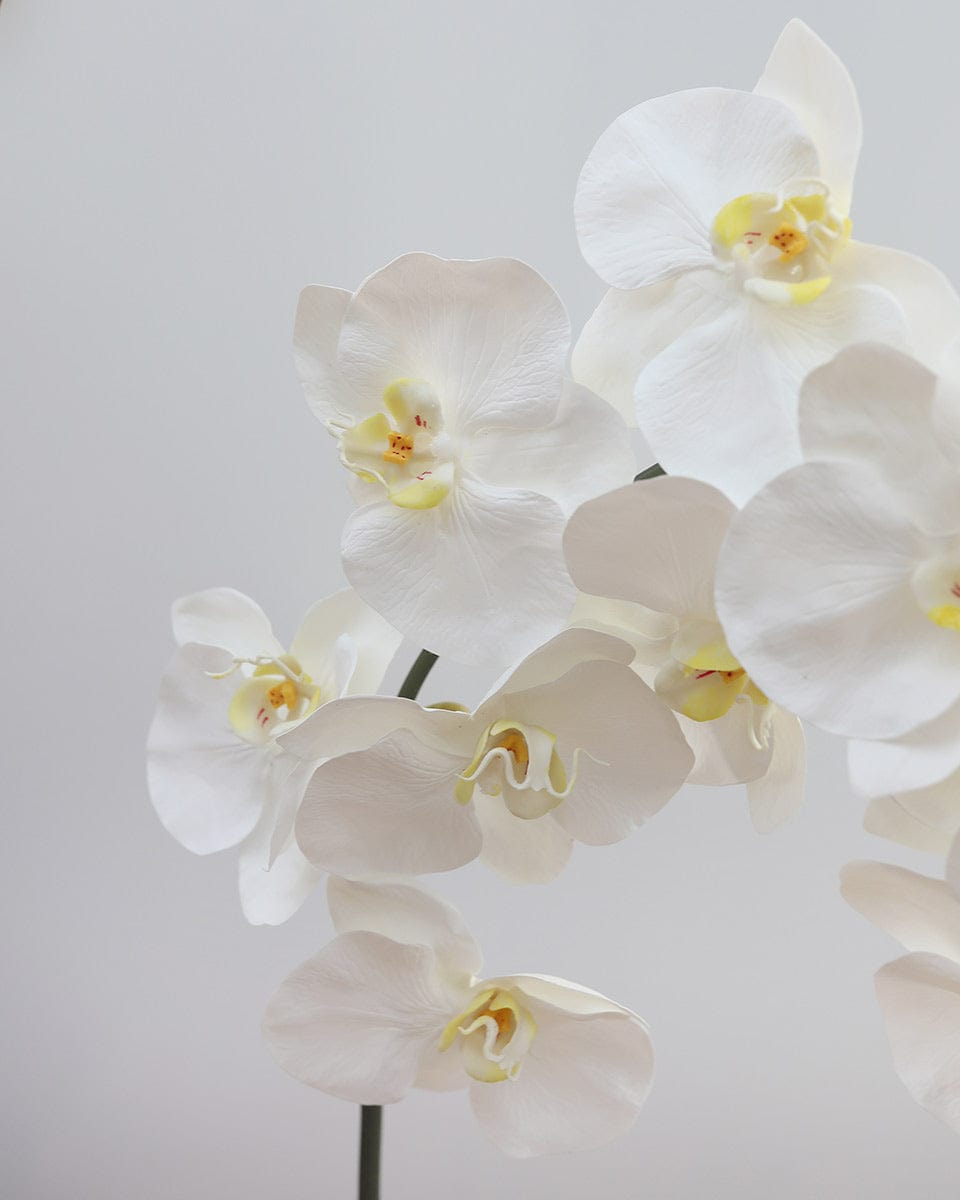 Prestige Botanicals Artificial Long White Phalaenopsis Orchid Stem close up