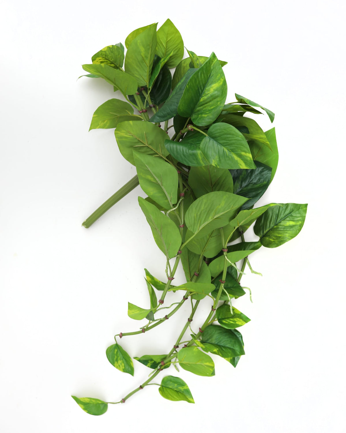 Hanging Faux Pothos Bush