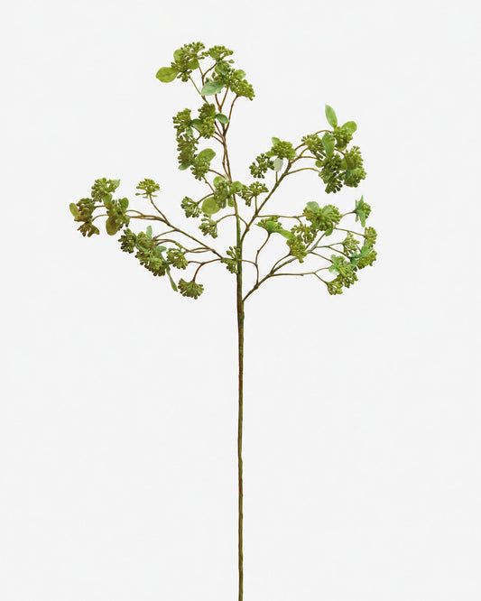 A single artificial green sedum stem with clustered leaves and small flower-like buds, photographed against a plain white background.