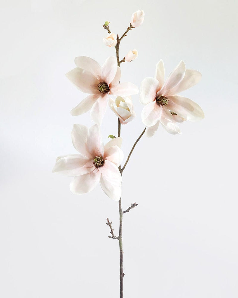 Blush Pink Magnolia Faux Flowering Branches