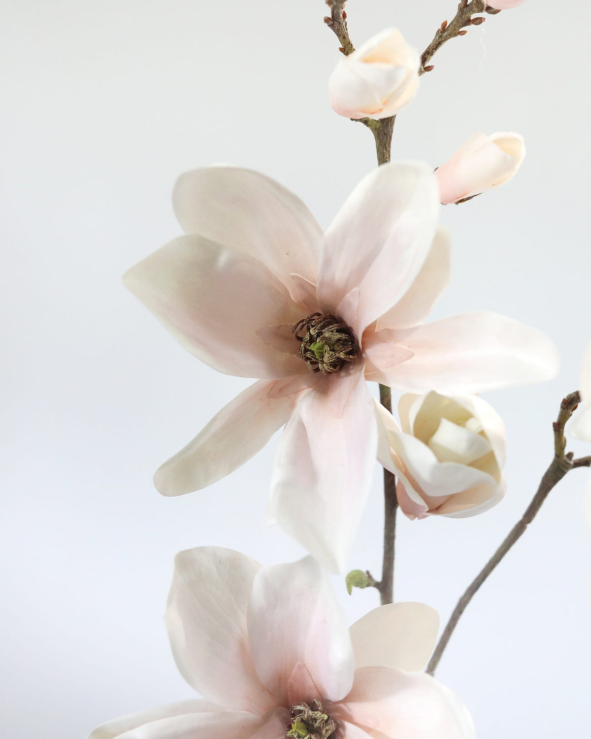 Artificial Blush Pink Magnolia Bloom close up 