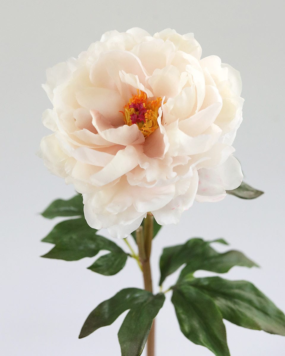 Open Peony Bloom in Soft Pink Faux Flowers