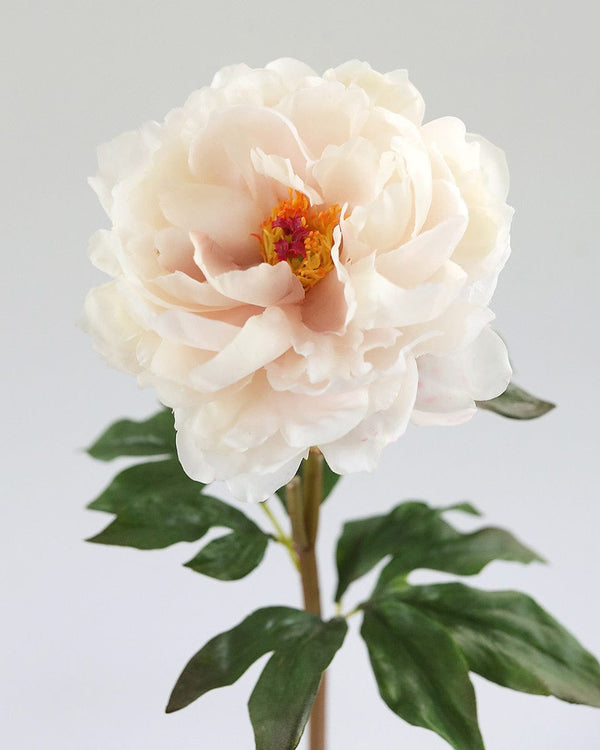 Pale Blush Real Touch Peony | Artificial Peonies | Pink Silk Flowers