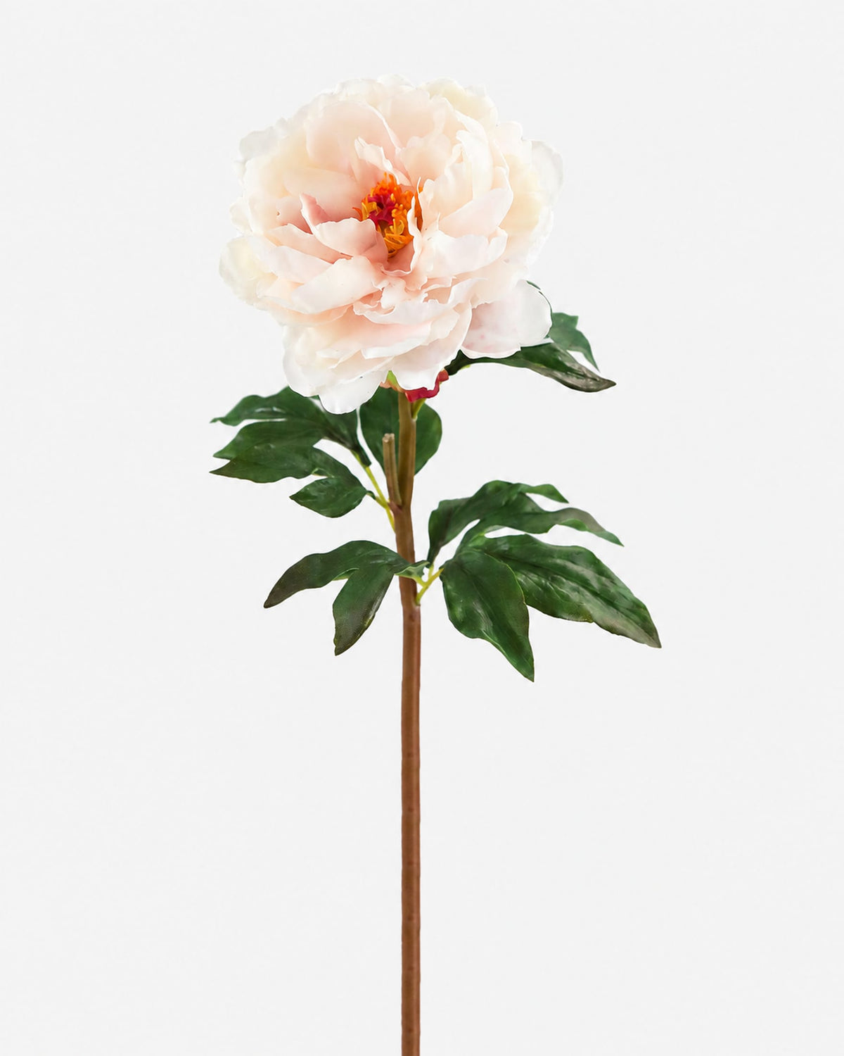 Pale Blush Real Touch Peony