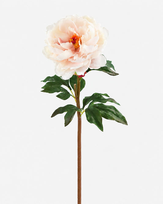 Pale Blush Real Touch Peony