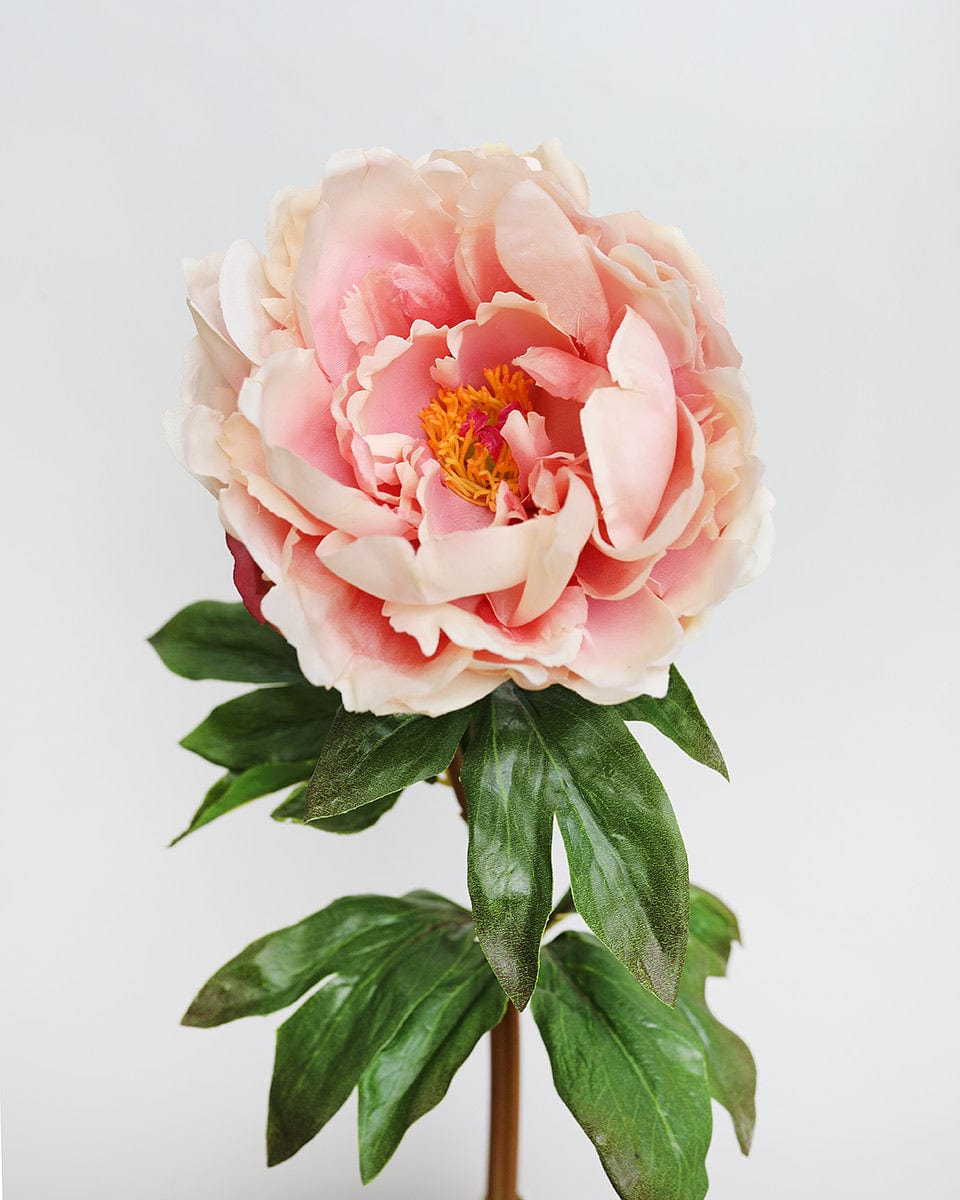 Faux Real Touch Peonies in Peach Pink with a Mauve Center