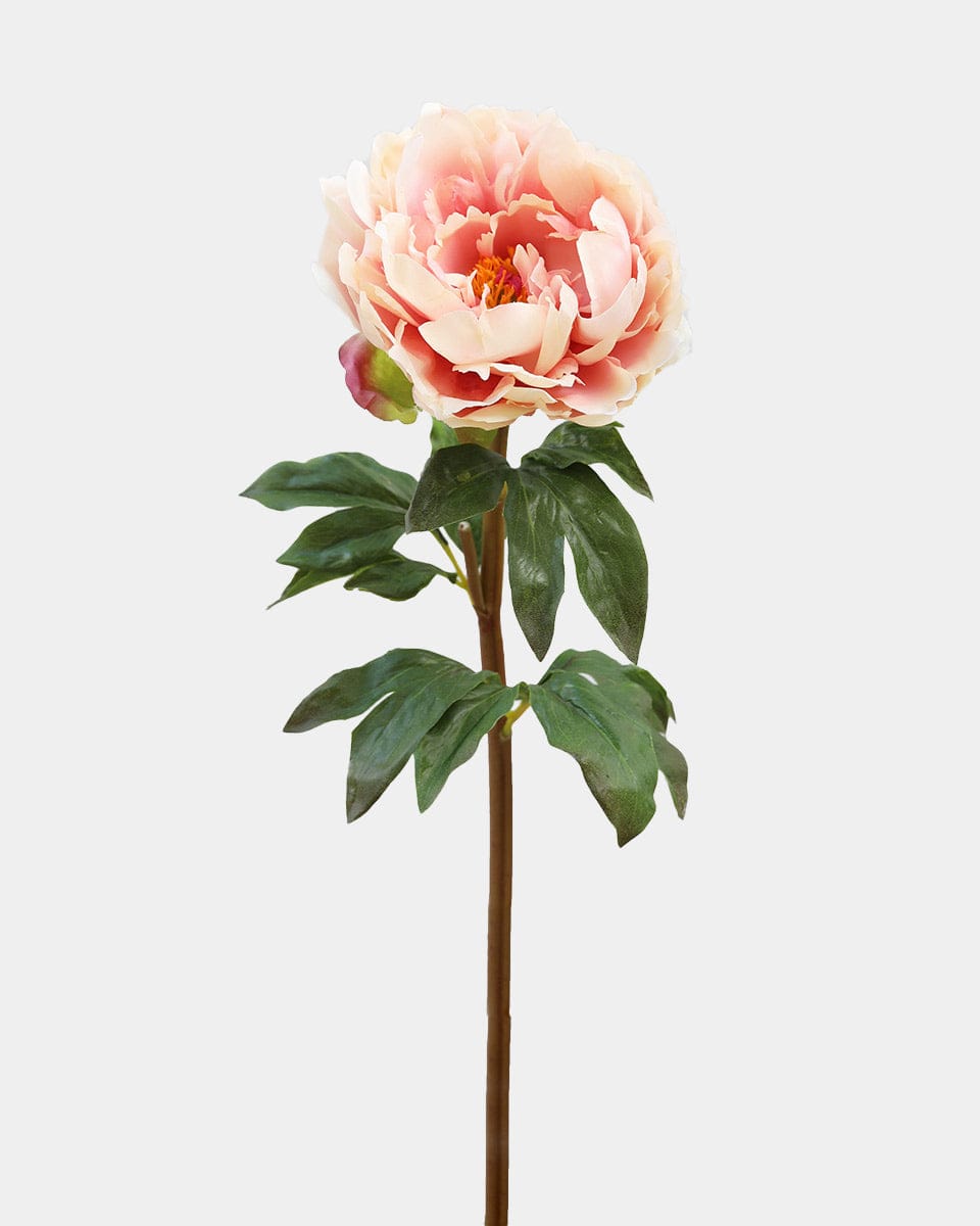 Peachy Pink Real Touch Peony Flowers