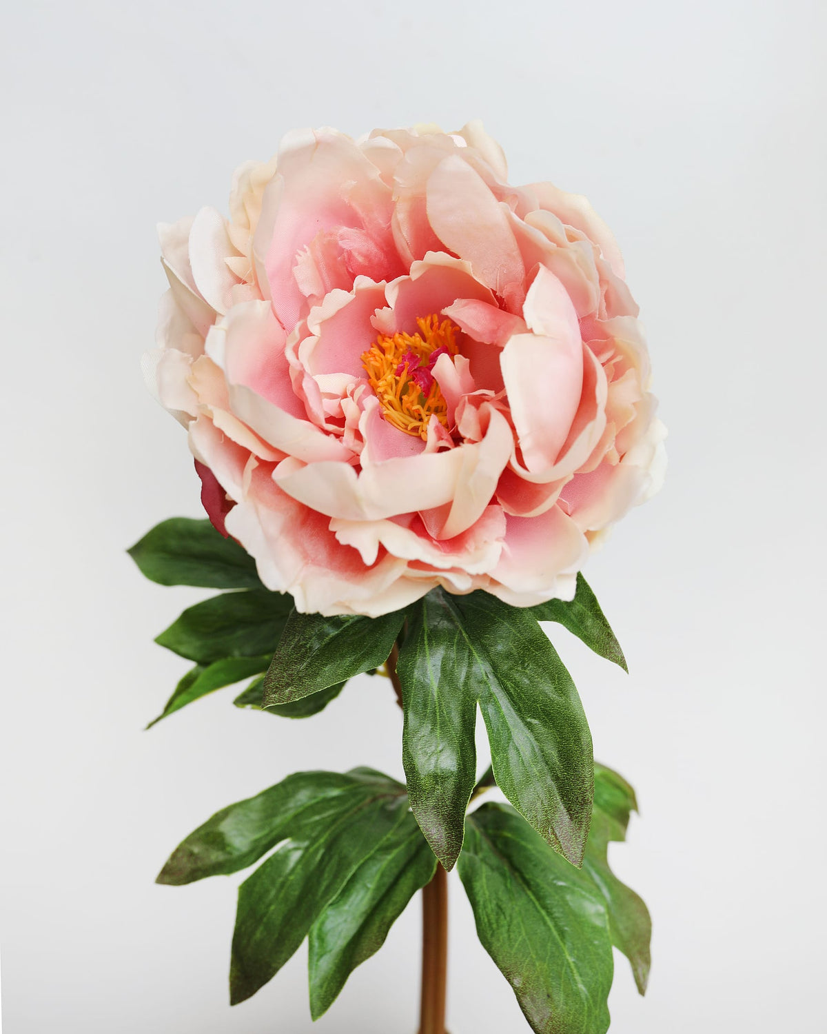Peach Pink Open Real Touch Peony close up 