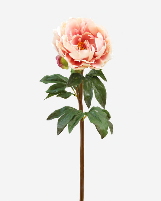 Peach Pink Open Real Touch Peony