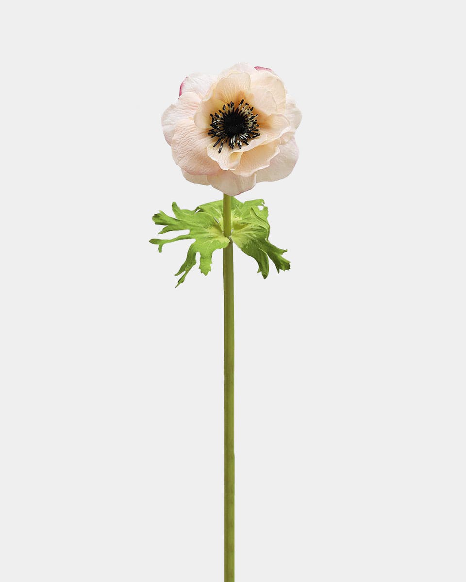 Real Touch Faux Peach Anemone Blossom