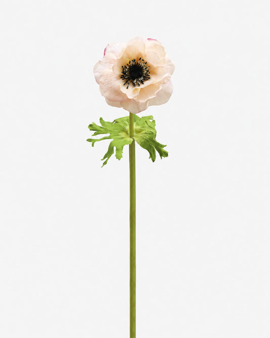 A single faux pale blush anemone flower with a dark central disc and green stem, isolated on a light gray background.