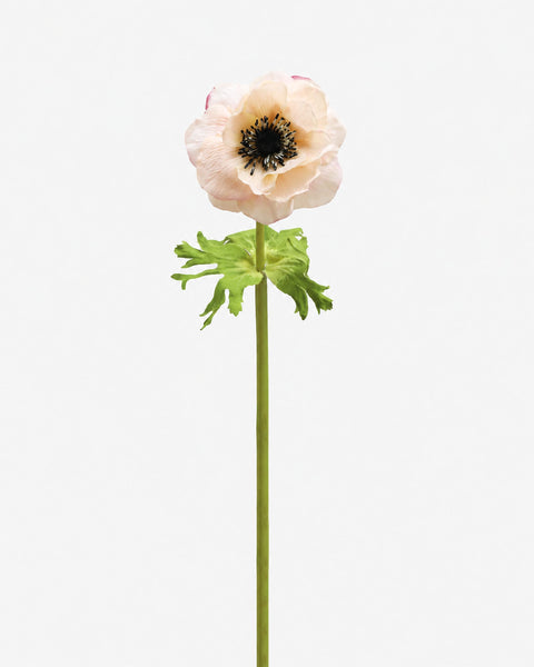 Soft Peach Real Touch Anemone 17.5