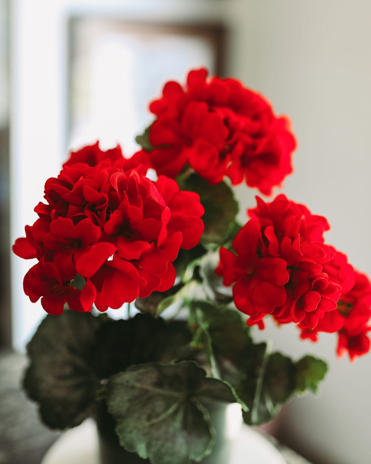 Artificial Red Geranium Bush