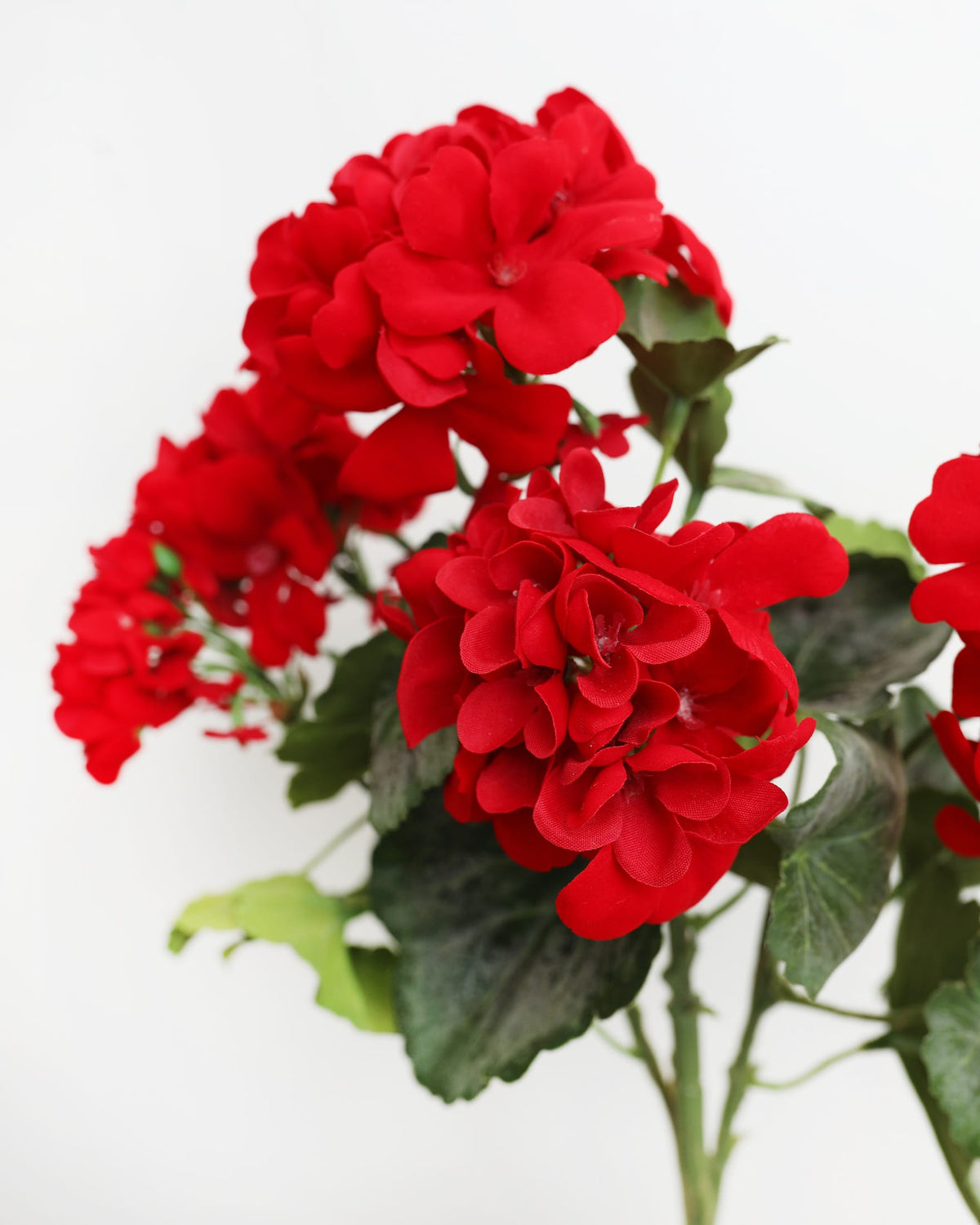 Artificial Red Geranium Bush close up 