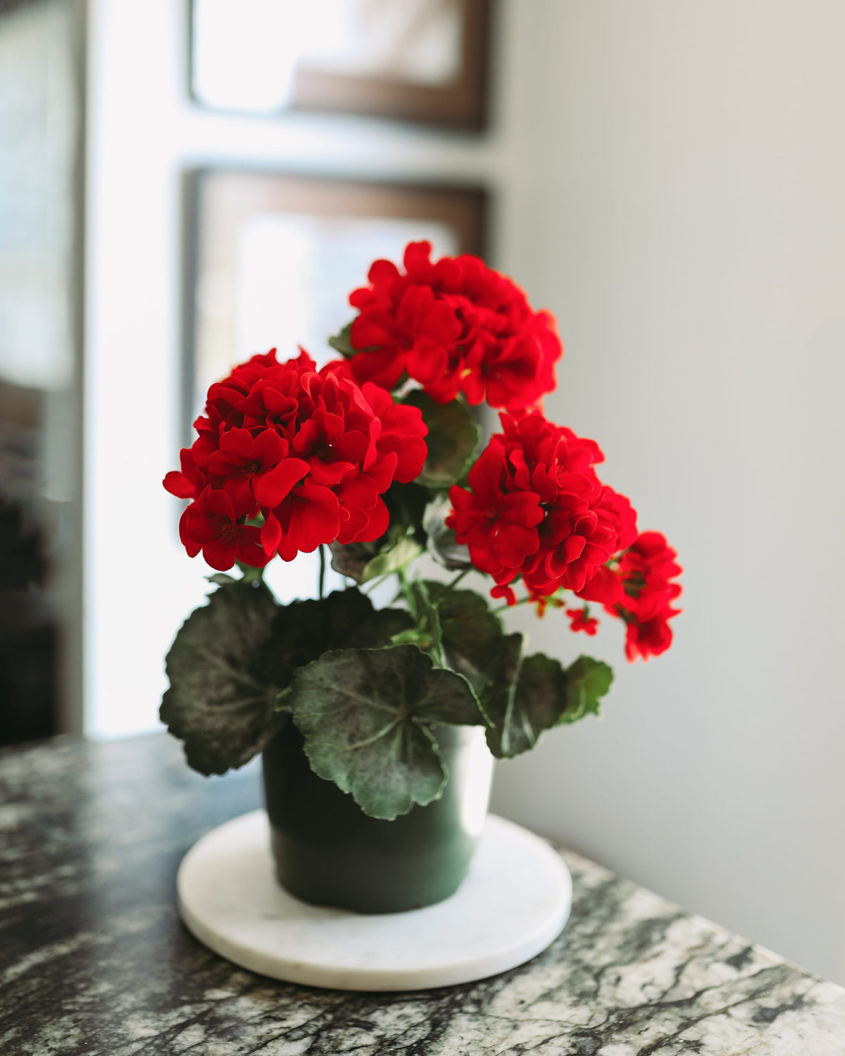 faux Red Geranium Bush in Planter