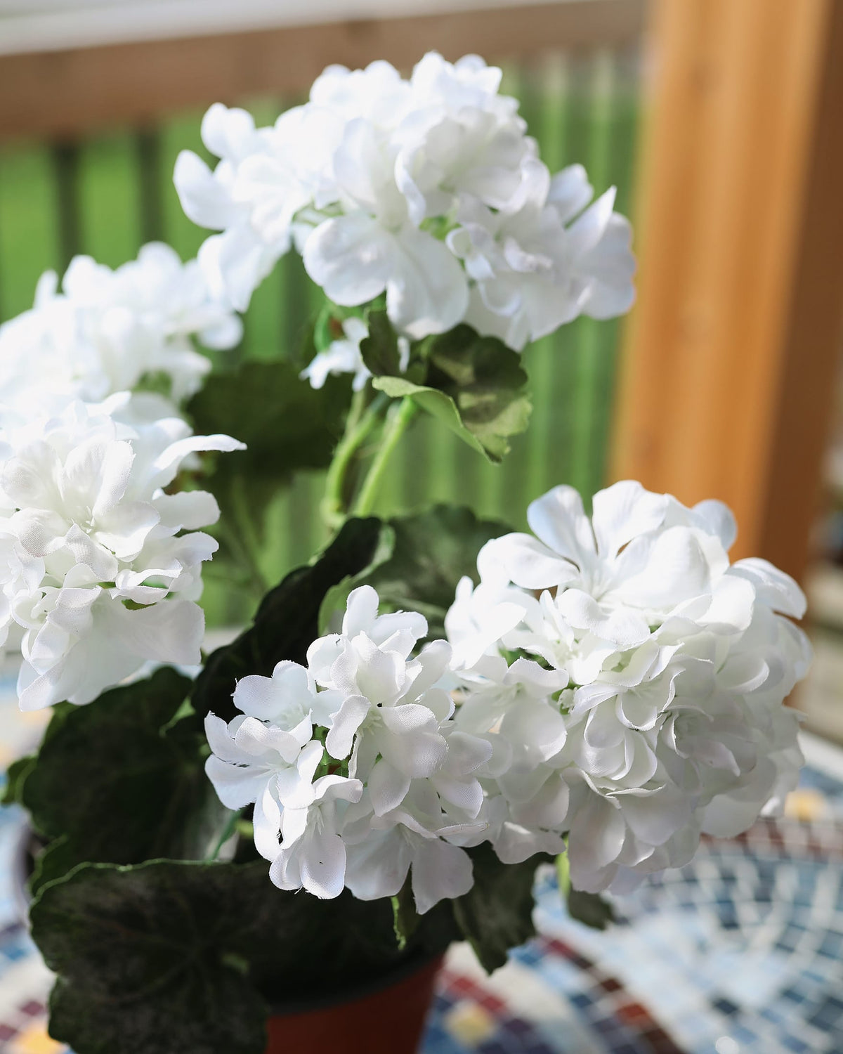 white artificial geranium close up 