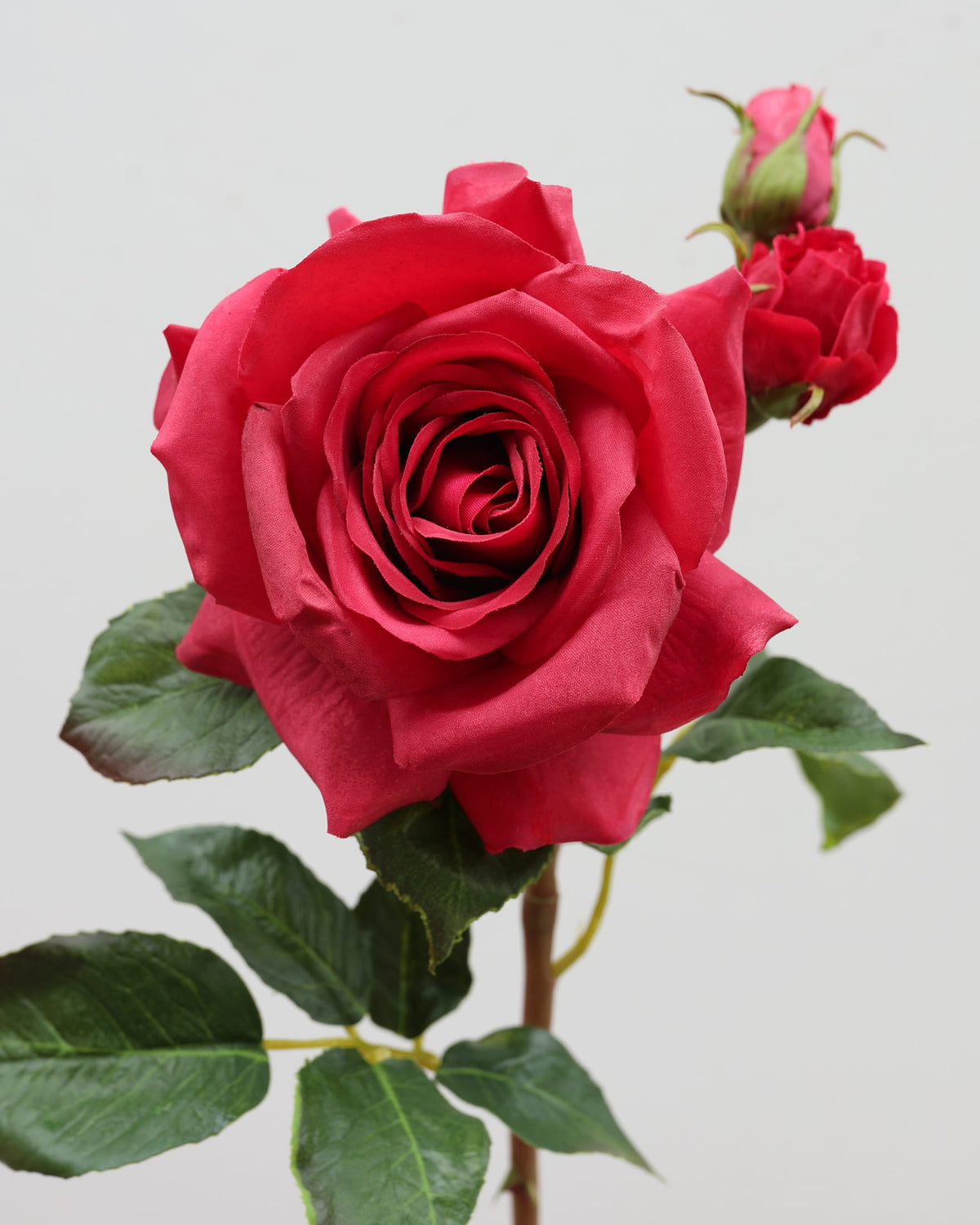 Red Prestige Real Touch Rose close up 