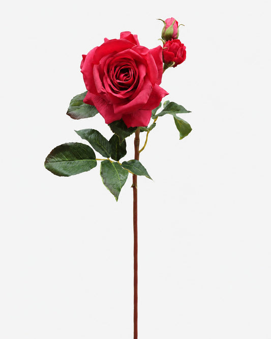 Red Prestige Real Touch Rose