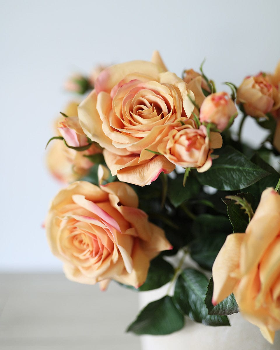 Peach Orange Sunset Open Roses Real Touch Flowers