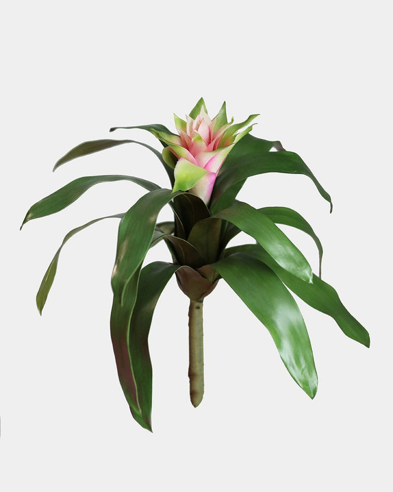 Pink Bromeliad Flowering Faux Plant