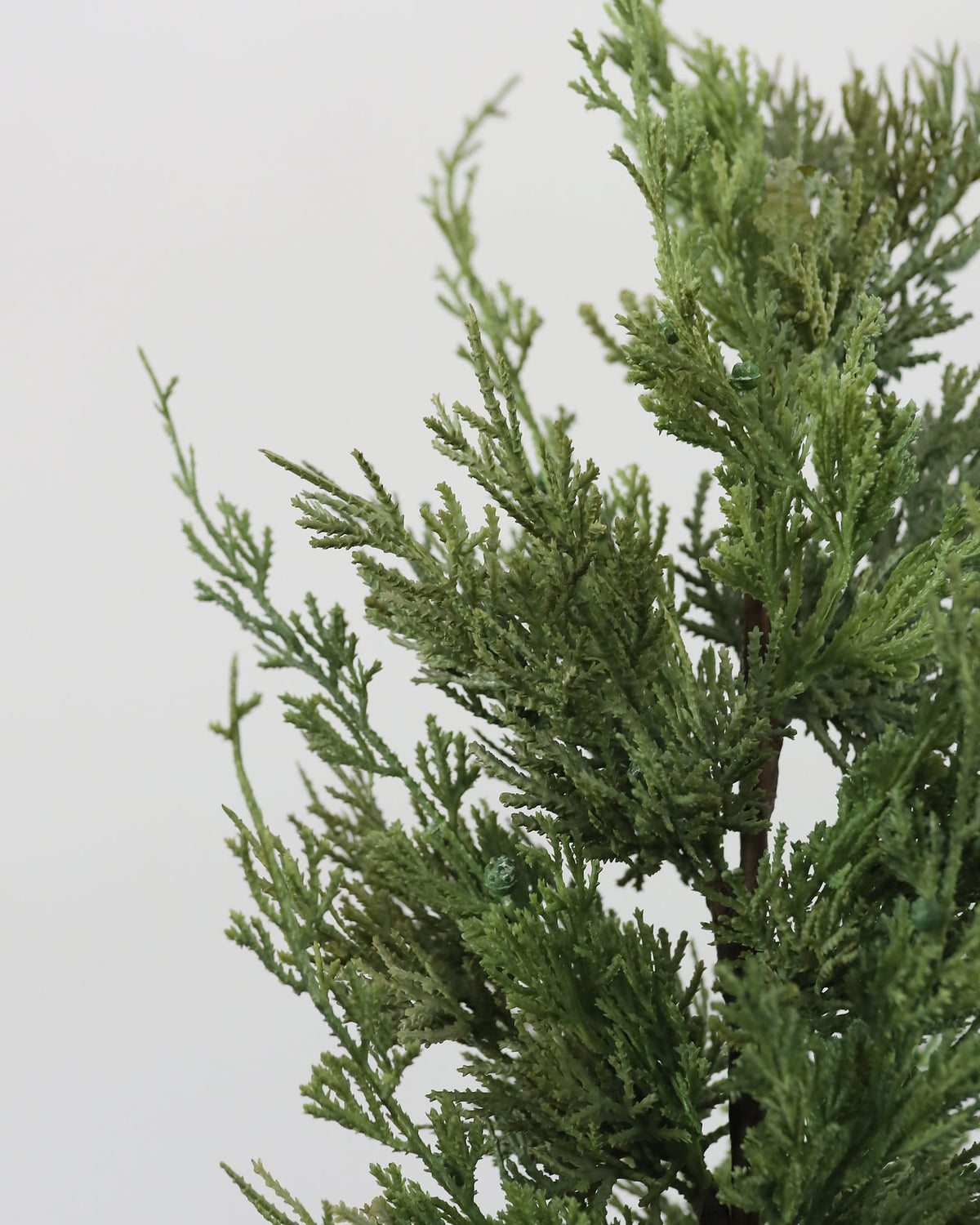 Faux Cedar Pine Branch close up 