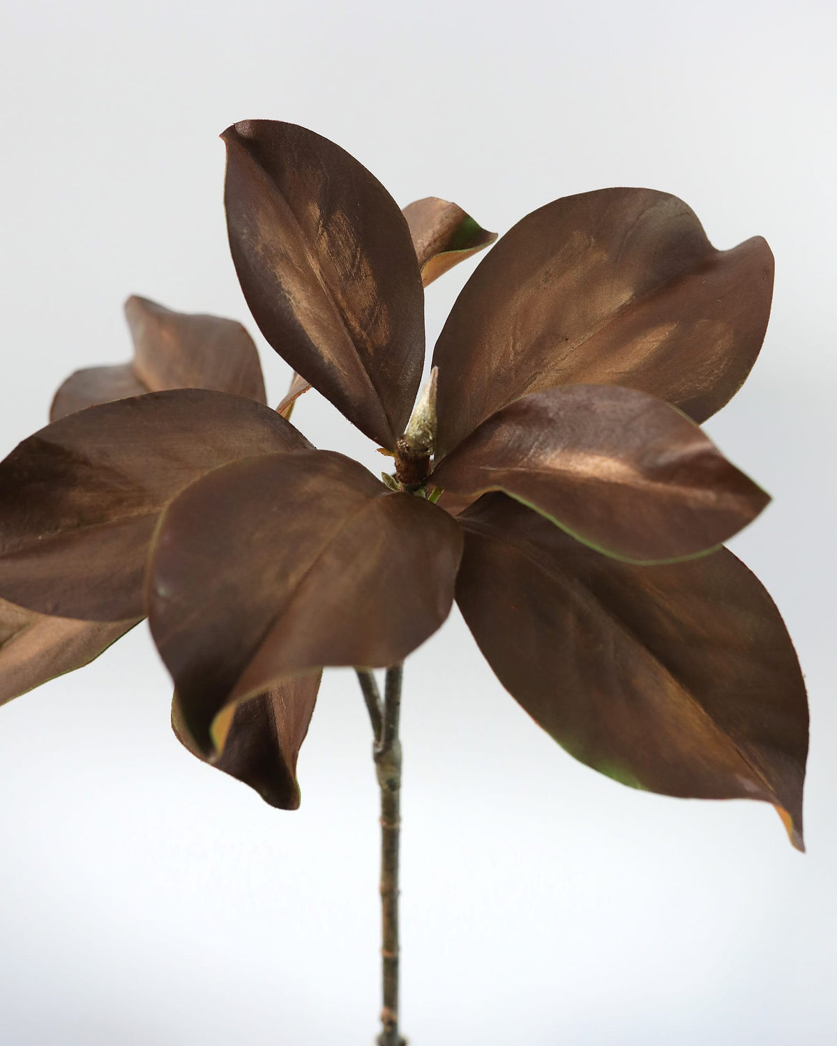 Bronze-colored faux magnolia stem close up 